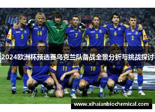 2024欧洲杯预选赛乌克兰队备战全景分析与挑战探讨