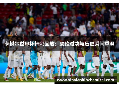 卡塔尔世界杯精彩回放：巅峰对决与历史瞬间重温