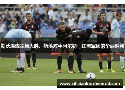 勒沃库森主场大胜，斩落对手阿尔勒：红黑军团的华丽胜利