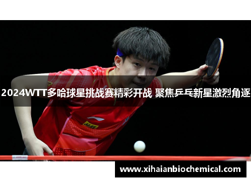 2024WTT多哈球星挑战赛精彩开战 聚焦乒乓新星激烈角逐
