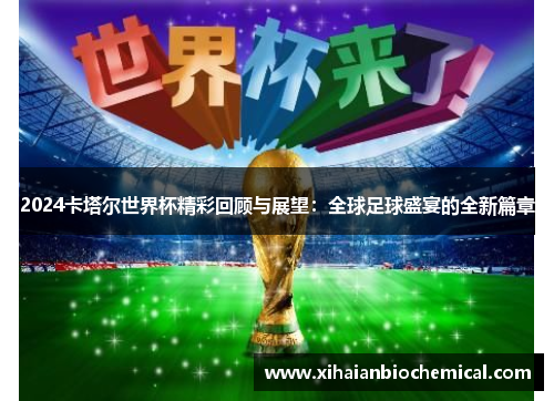 2024卡塔尔世界杯精彩回顾与展望：全球足球盛宴的全新篇章