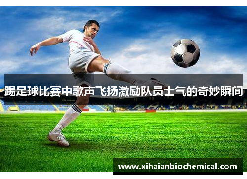 踢足球比赛中歌声飞扬激励队员士气的奇妙瞬间