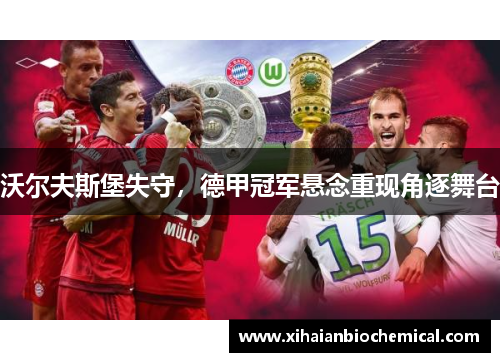 沃尔夫斯堡失守，德甲冠军悬念重现角逐舞台