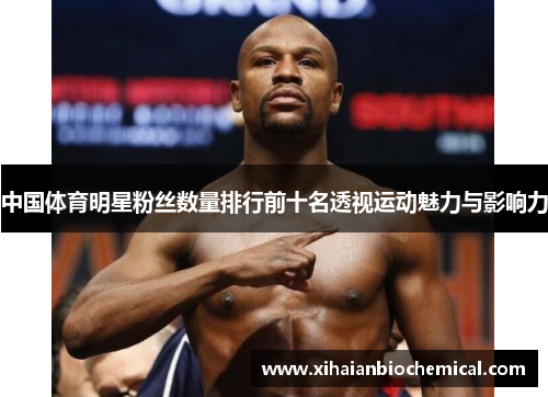 中国体育明星粉丝数量排行前十名透视运动魅力与影响力