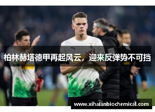 柏林赫塔德甲再起风云，迎来反弹势不可挡