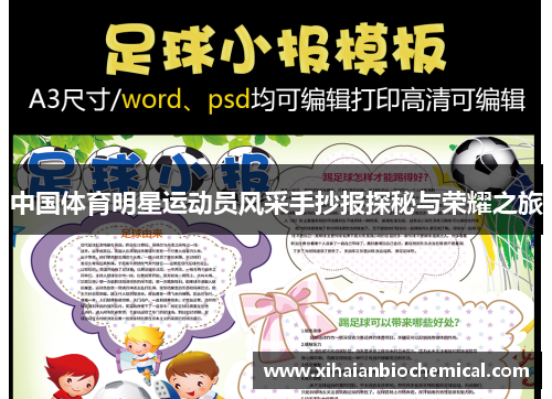 中国体育明星运动员风采手抄报探秘与荣耀之旅