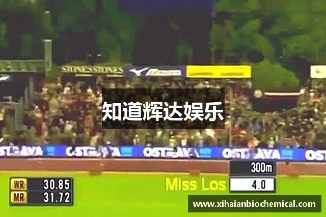 知道辉达娱乐